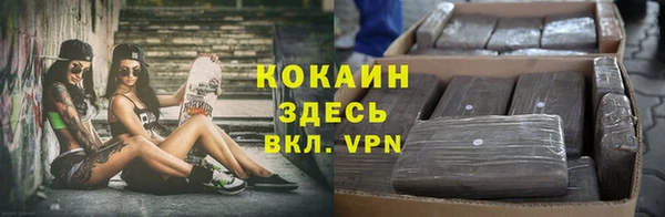 бошки Богородицк