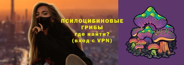 бошки Богородицк