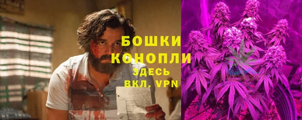 бошки Богородицк