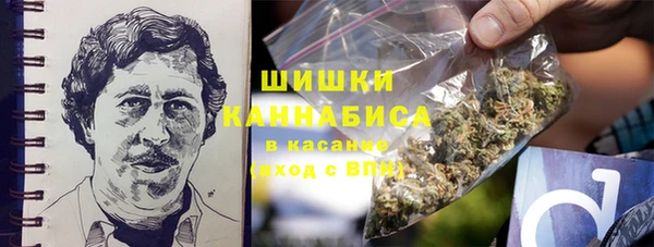 бошки Богородицк