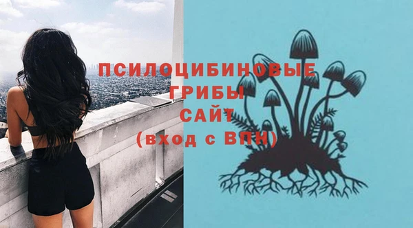 бошки Богородицк