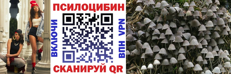 Псилоцибиновые грибы Magic Shrooms  mega ONION  Будённовск 